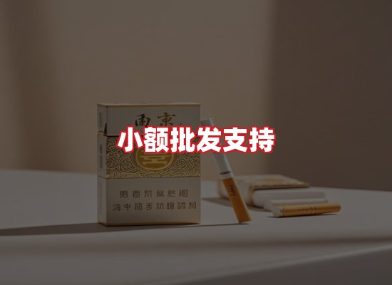 专业团队